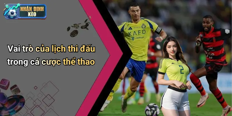 Vai trò của lịch thi đấu trong cá cược thể thao