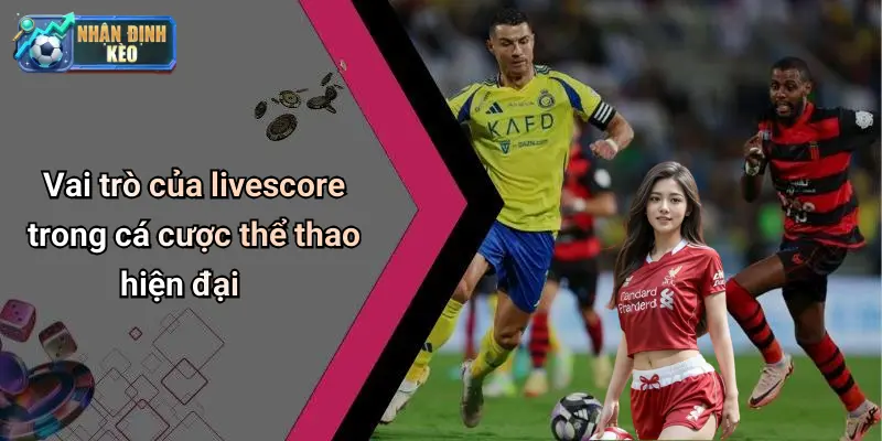 Vai trò của livescore trong cá cược thể thao hiện đại