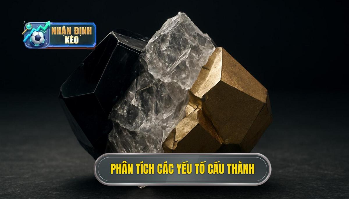 Phân tích chuyên sâu về các yếu tố cấu thành