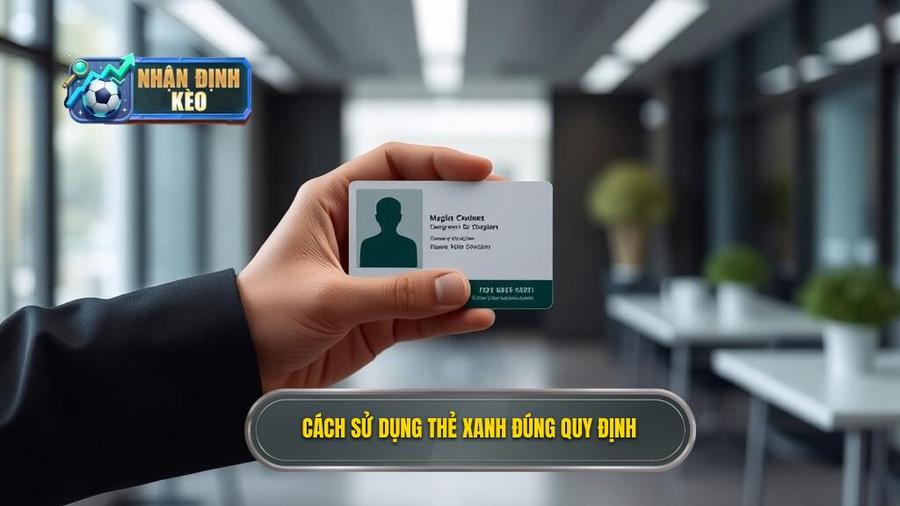 3. Quy định chi tiết về cách sử dụng thẻ xanh3. Quy định chi tiết về cách sử dụng thẻ xanh