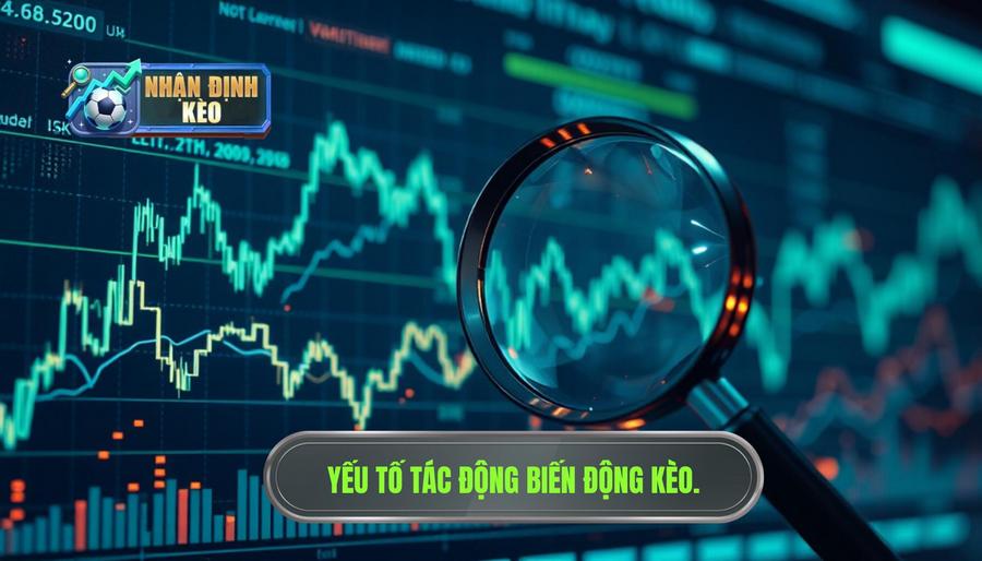 Các yếu tố tác động đến việc nhận định biến động kèo