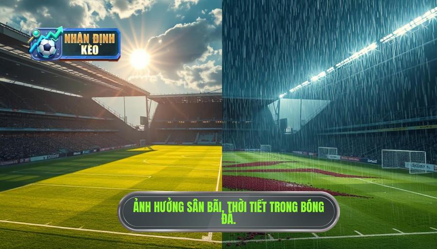 Phân tích đa chiều: Tác động của yếu tố sân bãi và thời tiết