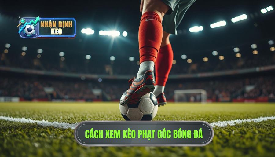 Hiểu đúng về kèo phạt góc trong cá cược bóng đá